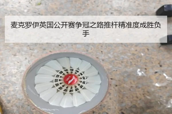 mai-ke-luo-yi-ying-guo-gong-kai-sai-zheng-guan-zhi-lu-tui-gan-jing-zhun-du-cheng-sheng-fu-shou-2-645.jpg