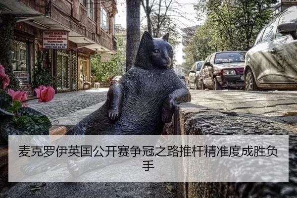 麦克罗伊英国公开赛争冠之路推杆精准度成胜负手