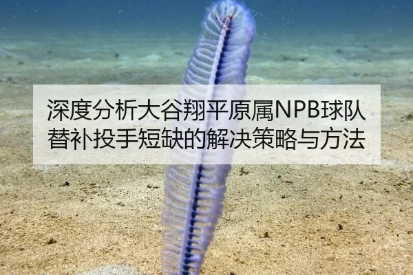 深度分析大谷翔平原属NPB球队替补投手短缺的解决策略与方法