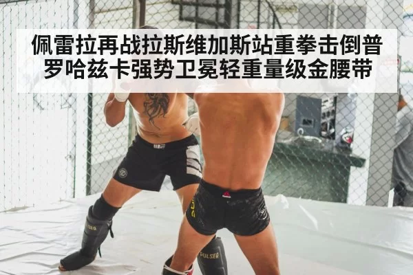 MMA knockout punch